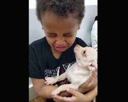 Little Boy Cries Over Cute Puppy