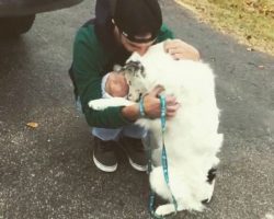 Border Collie Who Was Severely Neglected Leans In To Hug His New Dad