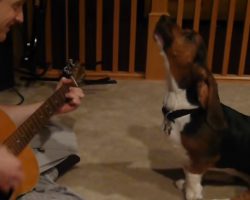 Gabby the Basset Sings