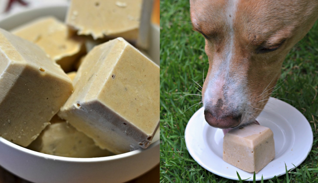Simple, Tasty Treat With 3 Healthy Ingredients To Keep Your Dog Cool