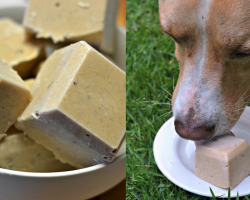 Simple, Tasty Treat With 3 Healthy Ingredients To Keep Your Dog Cool This Summer