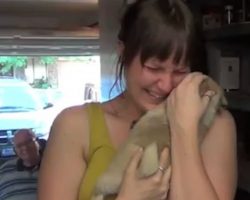 Man Surprises His Girlfriend With Puppy After Her Elderly Dog Passes Away