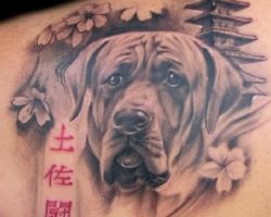 The 18 Coolest Mastiff Tattoo Designs In The World