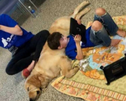 Boy With Autism Won’t Let Anyone Touch Him – Watch The Tearful Moment He Meets His Service Dog