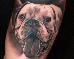 The 12 Coolest Boxer Tattoo Designs In The World