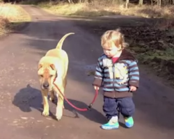 Boy Walking His Dog Share A Friendship Moment When They Find A Puddle