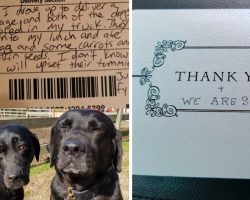 Postal Worker Leaves Note After Dogs Break Into Mail Truck And Steal Her Lunch