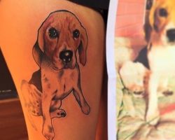 The 15 Coolest Beagle Tattoo Designs In The World