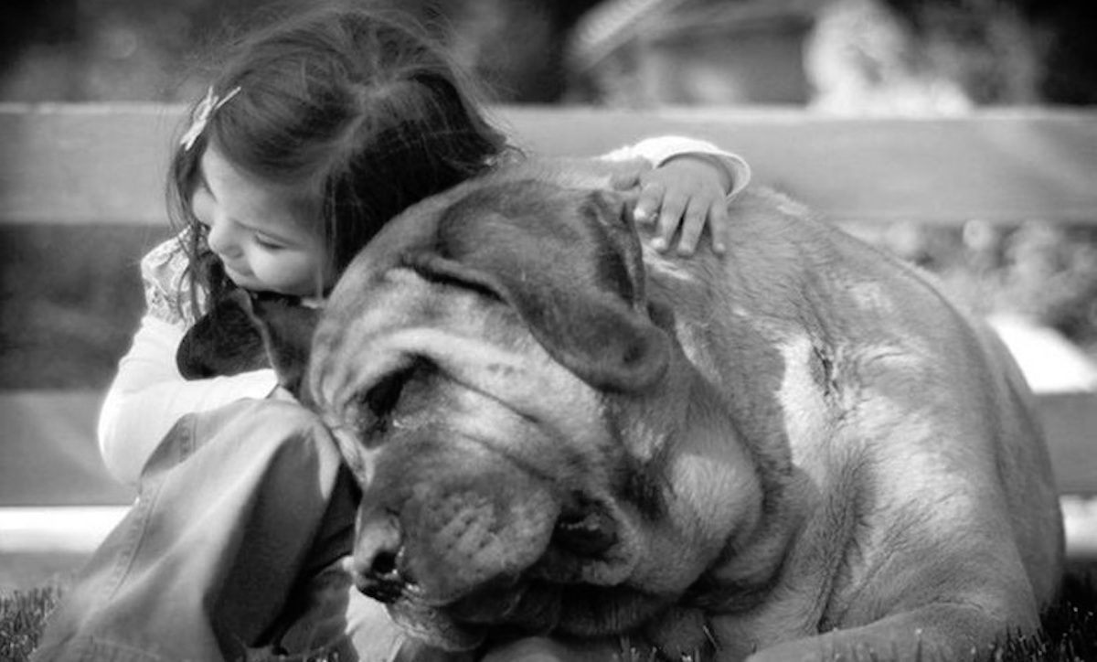 Верность товарищу. Люди и животные. Любовь к животным. Для детей. Животные. Собака для детей.