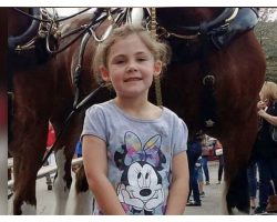 Dad Takes Photo Of Little Girl With Horse, Realizes He’s Captured The Funniest Picture Ever
