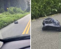 Woman Pulls Over When She Sees A Trash Bag Walking Down The Street