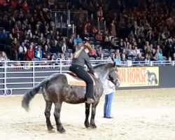 Horse Loves To Line-Dance To His Favorite Song Achy Breaky Heart