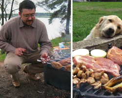 20 Dogs Who Take Begging To A Whole New Level