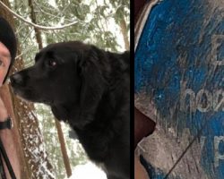 Couple’s Confused When Mysterious Dog Joins Them On Hike Only To Discover Tag With Message