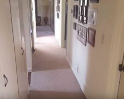Dad Says The Word “Shower” In Hallway Causing Reaction That Has The Internet In Stitches