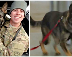 K9 Bursts Through Gate And He Saw His Soldier For The First Time In 3-Years