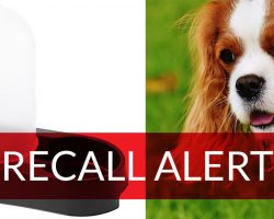 BREAKING: IKEA Pet Water Fountain Recalled After Two Dogs Suffocated To Death