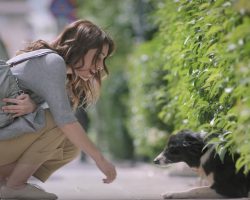 This Advert About A Woman Who Finds A Missing Dog Is Surprisingly Emotional