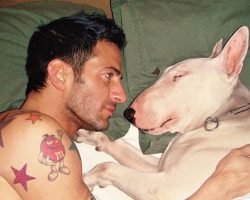 10 Celebrities With English Bull Terriers