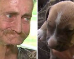 Dying Man Has A Final Wish To Find His Dogs A Good Home