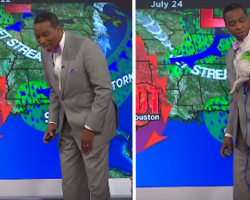 Little Dog Interrupts Weather Forecast, Makes For Some Great TV