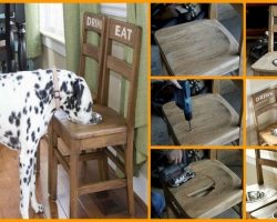 How To Make A Raised Feeding Station Using Old Chairs