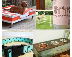 16 Super Cool Totally Do-Able DIY Dog Projects