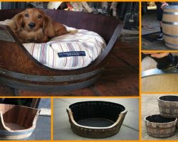 How To Make An Awesome Wine Barrel Dog Bed