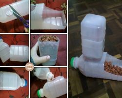 How To Quickly & Easily Make An Eco-Friendly Pet Feeder Out Of Plastic Bottles