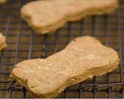 Stop buying dog food in stores. Here are 10 delicious treats you can make right at home