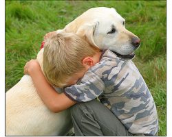 Dogs naturally want to comfort people who are upset