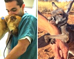 18 Beautiful Moments When Rescued Animals Told Their Heroes ‘Thank You’