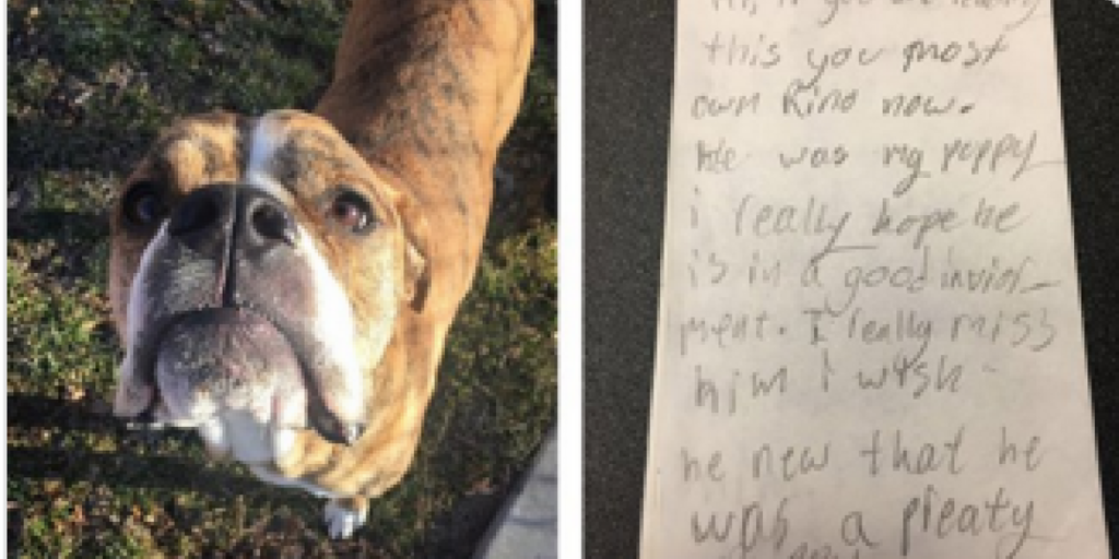 Little girl returns dog to the pound, then shelter sees a handwritten note on his collar