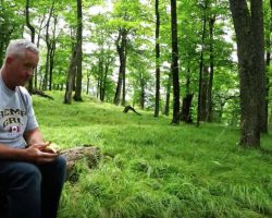 Man Eating Alone In Woods Gets Unexpected Visitors