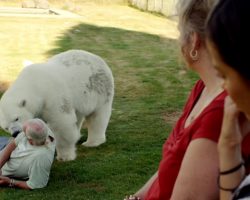 Polar Bear’s Emotional Reaction To Man Who Raised Her 18yrs Ago Caught On Camera