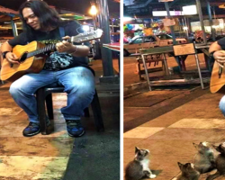 Street Performer Has No Audience Until Some Four-Legged Fans Arrive