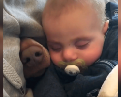 Mom’s filming the baby taking a nap when a nose pokes through beside him