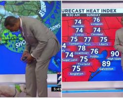 Dog Hilariously Crashes Live Weather Forecast, Weatherman Has Heartwarming Reaction