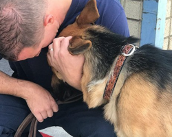 Firefighter Adopts German Shepherd Dog He Saved From Wildfire That Claimed Chief’s Life