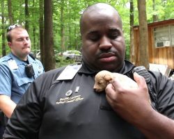 Cops Rescue 500 Puppies From A Puppy Mill, One Year Later, They Reunite
