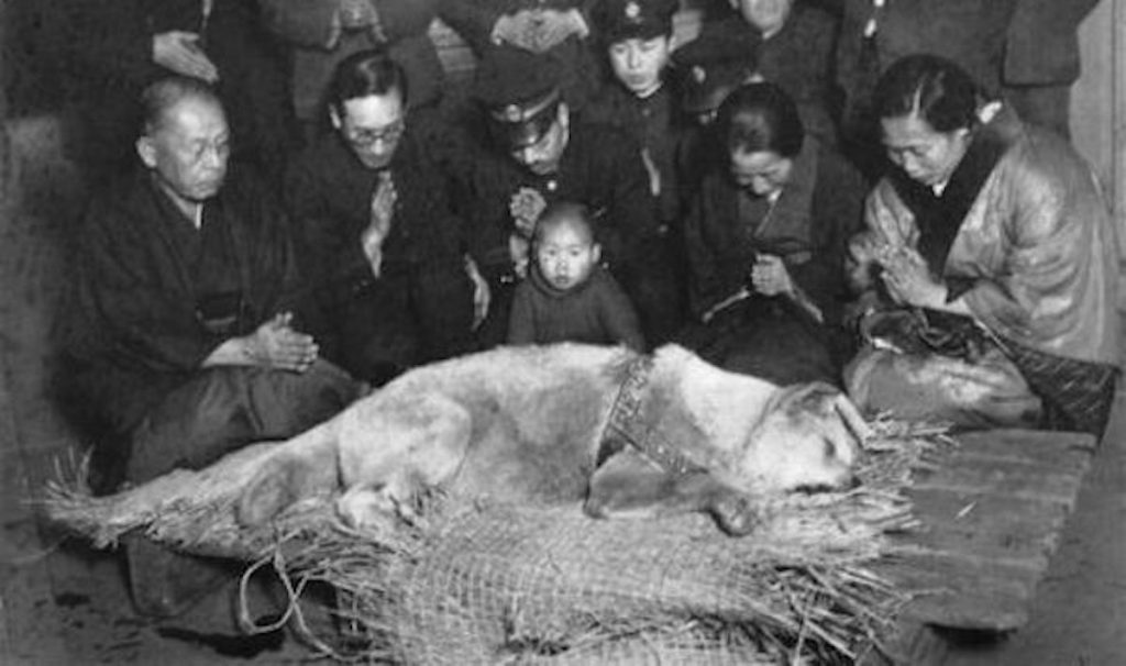 Nearly 100 Years Later, One Dog's Unwavering Loyalty Is Still Honored