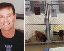 He Goes To Shelters And Asks For The Dogs No One Else Wants. This Is Who They Gave Him.