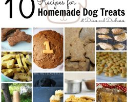[Recipe] 10 Awesome Homemade Dog Treats Recipes