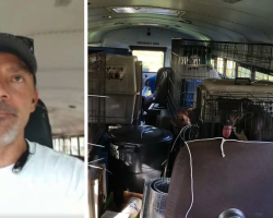 Man Buys School Bus To Save Shelter Pets Left Behind During The Hurricane