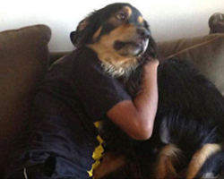 21 Hilarious Photos of Dogs that are Perfectly Timed