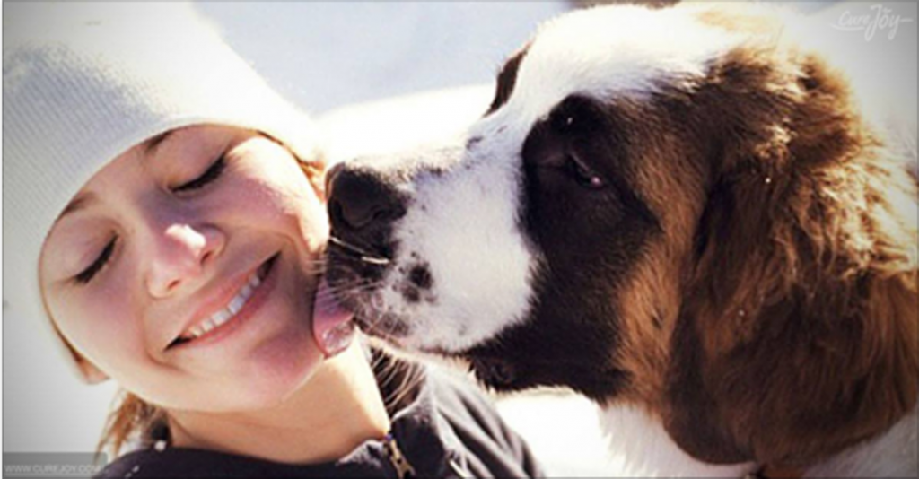 7 Surprising Reasons Why Dogs Lick Human Beings And What It Means