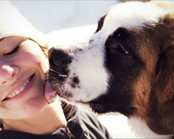 7 Surprising Reasons Why Dogs Lick Human Beings And What It Means