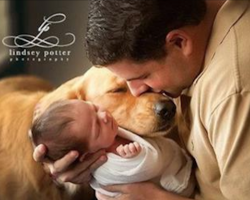 10+ Beautiful Photos Capturing Tender Moments Between Dogs And Their Young Families