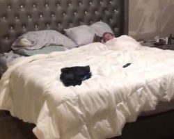 Dad Heard Strange Noises In The Bedroom, Walked In On ‘Cutest Scene’ Imaginable