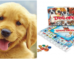 “Dog-Opoly:” A Board Game For Dog Lovers Where You Buy Pups Instead Of Property
